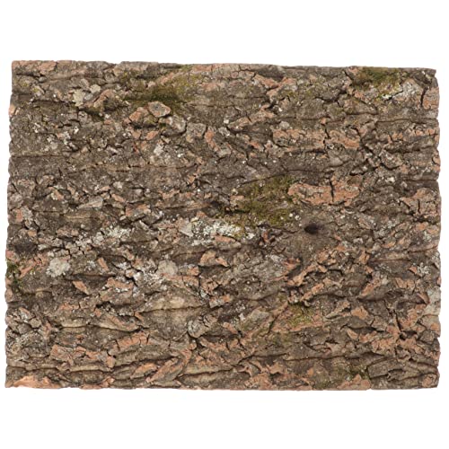 Sosoport Natürliche Korkrinde Terrarium Rückwand Reptilien Kletterwand Schildkröten Plattform Tierdeko Raues Material für Echsen Gecko Bartagame Sosoport Natürliche Korkrinde Terrarium Rückwand Reptilien Kletterwand Schildkröten Plattform Tierdeko Raues Material für Echsen Gecko Bartagame von Sosoport