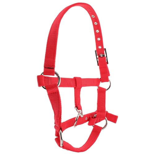 Sosoport Reittraining für gepolstertes Pferdehalfter Kinnriemenabdeckung Schafhalter Wadenhalfter Ziegenhalfter Strickhalfter für Pferde Seilhalfter Nylon rot Sosoport Reittraining für gepolstertes Pferdehalfter Kinnriemenabdeckung Schafhalter Wadenhalfter Ziegenhalfter Strickhalfter für Pferde Seilhalfter Nylon rot von Sosoport