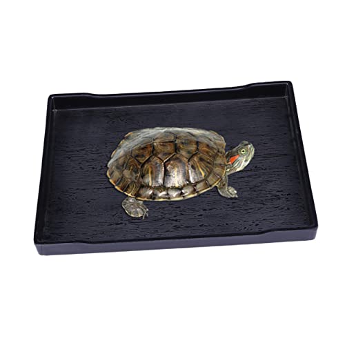 Sosoport Unzerbrechlicher Reptiliennapf Großer Futter- Und Wassernapf Für Schildkröten Kein Flaches Design Badezubehör Schwarz Heimtierbedarf von Sosoport