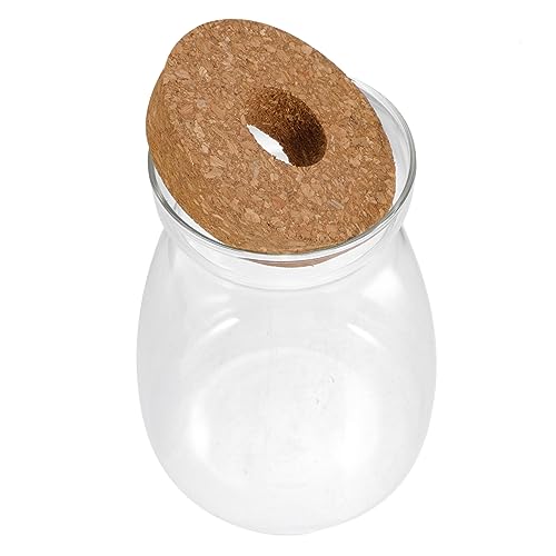 Sosoport Terrarium Container für Pflanzen Großer Mikrolandschaftsbehälter mit Deckel für Sukkulenten Hydroponik und Wohnkultur für Schlafzimmer Büro und Sosoport Terrarium Container für Pflanzen Großer Mikrolandschaftsbehälter mit Deckel für Sukkulenten Hydroponik und Wohnkultur für Schlafzimmer Büro und von Sosoport