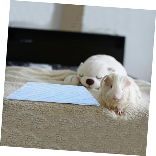 Sosoport Warme Hamsterdecke Meerschweinchen Haustierbettwäsche Hamster Schlafsack Tier Isomatte Hamstermatte Käfig Ruhematte Kleine Flauschige Decke Hamster Schlafkissen Beanie Sosoport Warme Hamsterdecke Meerschweinchen Haustierbettwäsche Hamster Schlafsack Tier Isomatte Hamstermatte Käfig Ruhematte Kleine Flauschige Decke Hamster Schlafkissen Beanie von Sosoport