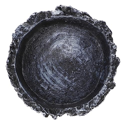 Sosoport Crawling Pet Food Storage Basin Robuste Wasserschale Für Schildkröten Und Reptilien Für Futter Und Wasser Leicht Zu Reinigen Langlebig Gefertigt von Sosoport