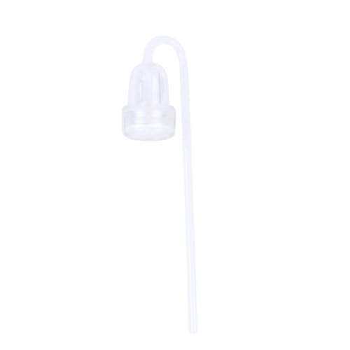 Sosoport Co2-reaktor Aquarium Diffusor Inline-co2-diffusor Aquarium Co2 Fischglas Aus Glas Co2-diffusor Für Aquarium Co2 Reaktor Selber Bauen Diffusor Für Aquarien Bepflanzter Tank Zubehör von Sosoport