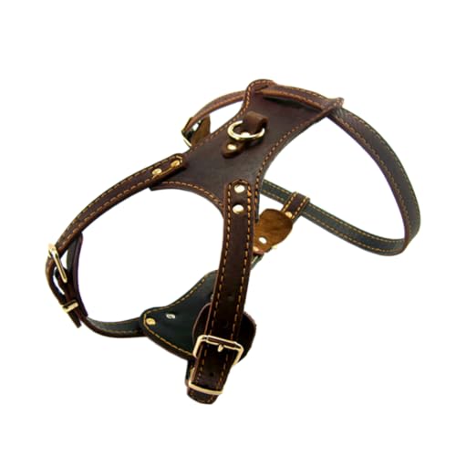 Sosoport Mittelgroßes Bis Großes Hundehalsband Modisches Halsband Mit Brustgurt 85–90 cm Australian Pet Supplies von Sosoport