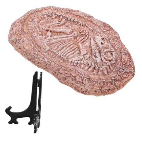 Sosoport Historische Trilobiten Dinosaurier Exemplar Wärmelampe Glühbirne Dekorative Terrarium von Sosoport
