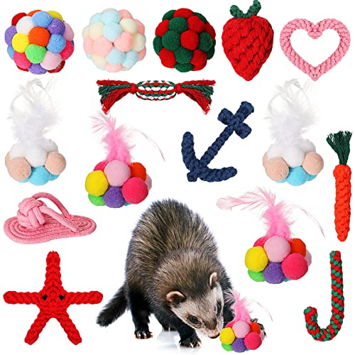 Sotiff 15-teiliges Frettchen-Spielzeug, inklusive 8 Frettchen-Seil-Kauspielzeuge und 7 Frettchen-Bälle mit Glocke, Spielzeug für Meerschweinchen, bunte Pompon-Bälle, interaktives Sound-Spielzeug von Sotiff