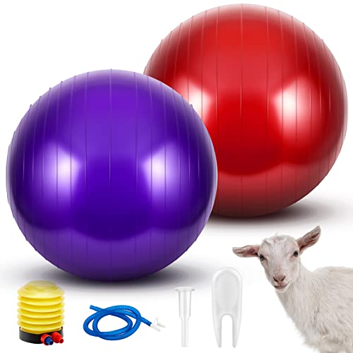 Sotiff 2 Stück Herding Ziegenball Spielzeug Anti-Burst PVC Großer Übungsball mit Inflator Pumpe Herding Spielzeug für Ziegen Hund Pferd zum Spielen mit Lamm Outdoor Entertainment Spielzeug (lila, rot, von Sotiff