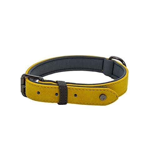 Sotnos Aquatech Brights Hundehalsband, Senfgelb, XL von Sotnos