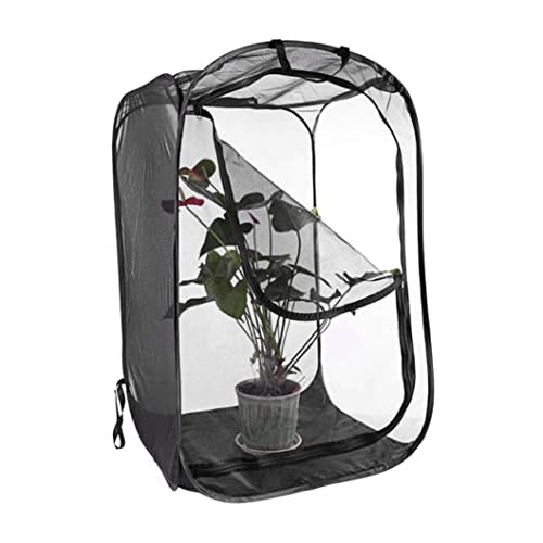 Butterfly Habitat Stick Insektengehäuse 23.6x23.6x35.4 '' zusammenklappbarer Schmetterlingskäfig transparentes Insektenkäfig -Netz mit Reißverschluss und handhaben tragbare Raupe Illar Butterfly Habi Butterfly Habitat Stick Insektengehäuse 23.6x23.6x35.4 '' zusammenklappbarer Schmetterlingskäfig transparentes Insektenkäfig -Netz mit Reißverschluss und handhaben tragbare Raupe Illar Butterfly Habi von SouiWuzi