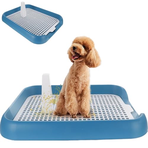 Hundeköpfchenschale, 18x14x2 Nicht-Schlupf-Mesh-Hundedrüsenschachtel mit sicherem Latch, abnehmbares Innenhund-Töpfchen-Trainingspülpolsterhalter für kleine und mittlere Hunde, Hundedrüsenschachtel Hundeköpfchenschale, 18x14x2 Nicht-Schlupf-Mesh-Hundedrüsenschachtel mit sicherem Latch, abnehmbares Innenhund-Töpfchen-Trainingspülpolsterhalter für kleine und mittlere Hunde, Hundedrüsenschachtel von SouiWuzi