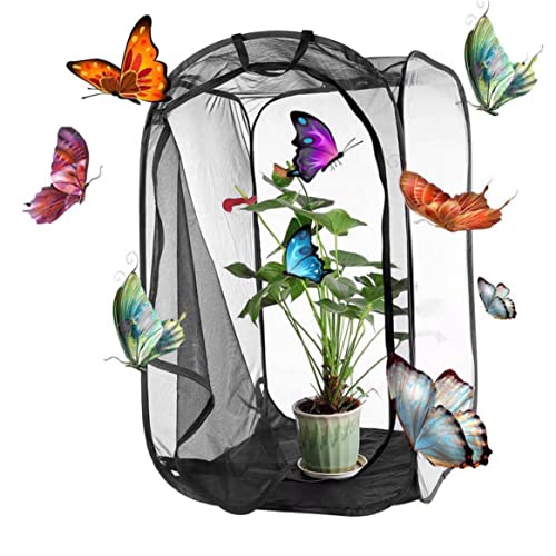 Schmetterlingsraum Habitat Stick Insektengehäuse 15,8x15.8x23.6inch zusammenklappbarer Schmetterling Käfig transparentes Insektenkäfig -Netz mit Reißverschluss und Handlung tragbarer Raupe Illar Butt Schmetterlingsraum Habitat Stick Insektengehäuse 15,8x15.8x23.6inch zusammenklappbarer Schmetterling Käfig transparentes Insektenkäfig -Netz mit Reißverschluss und Handlung tragbarer Raupe Illar Butt von SouiWuzi
