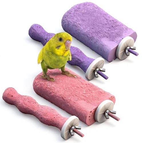 Soulchen 4 Stück Vogelschnabelschleifen Kalziumstein Sitzstangen Papageien Zähne Mund Molar Käfig Zubehör Plattform Pfotenschleifstäbe Springständer für Aras, Sittiche, Finken, Nymphensittiche (lila von Soulchen