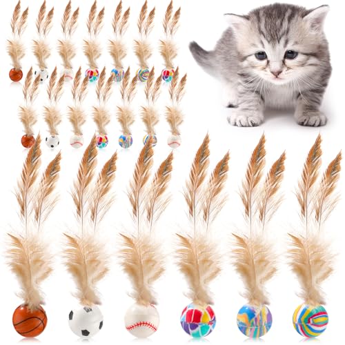 Soulchen Interaktives Hüpfball-Spielzeug mit Federn, 40 Stück, elastische Gummibälle für gelangweilte Indoor-Katzen, verspielte Kätzchen, die gerne trainieren, sicher und lustig spielen von Soulchen