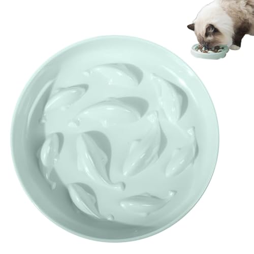 Soulnioi Cat Slow Feeder Bowl Small Dog Puppy Dog Kitten Interactive Feeder Dog Cat Feeding Bowl Anti Choking Cat & Dog Bowl For Small Dog Puppy Dog Kitten Green Soulnioi Cat Slow Feeder Bowl Small Dog Puppy Dog Kitten Interactive Feeder Dog Cat Feeding Bowl Anti Choking Cat & Dog Bowl For Small Dog Puppy Dog Kitten Green von Soulnioi