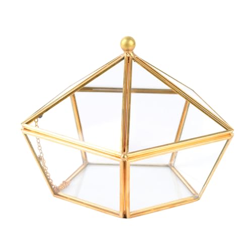 Soulnioi Geometrische Glasvase für Pflanzen, Terrariun/Pentagon-Form, klares Glas, für Sukkulenten, Hochzeit, dekorativer Blumentopf, Gold Soulnioi Geometrische Glasvase für Pflanzen, Terrariun/Pentagon-Form, klares Glas, für Sukkulenten, Hochzeit, dekorativer Blumentopf, Gold von Soulnioi