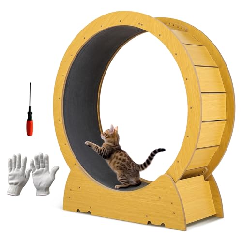 Katzenlaufrad XXL Holz Mit Teppich, Einfaches Katzen Trainingsrad Mit Abnehmbarem Teppichboden Mit Abnehmbarem Teppichboden & Schloss von Sour Lemon