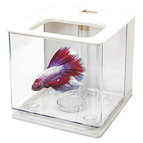 Spactz 2X Aquarium Aquarium Aquarium Einfach zu Wechselnde Wasser Acryl Kunststoff (Weiß) von Spactz