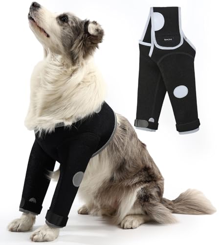 Spajoy Hunde-Genesungsanzug, medizinische Kegel-Alternative, abriebfeste Hunde-Genesungsmanschette, waschbar, 3 mm dick und wasserdicht, Haustierwunden verhindern Lecken, Beißen, nass werden und Spajoy Hunde-Genesungsanzug, medizinische Kegel-Alternative, abriebfeste Hunde-Genesungsmanschette, waschbar, 3 mm dick und wasserdicht, Haustierwunden verhindern Lecken, Beißen, nass werden und von Spajoy