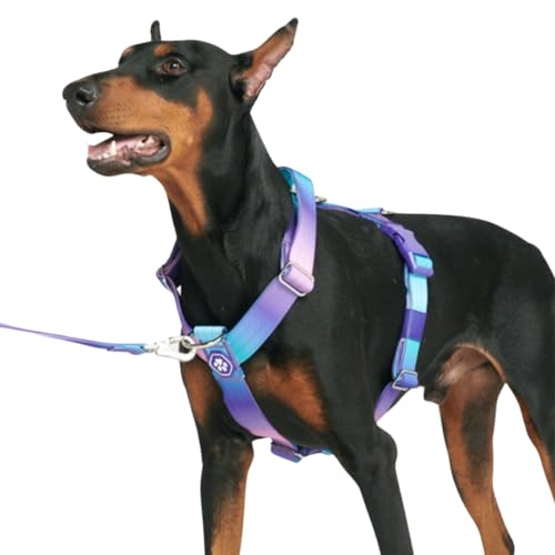 Spark Paws Anti-Zieh-Y-Hundegeschirr – Entwickelt für Sicherheit und Kontrolle - 90s Retro - L von Spark Paws