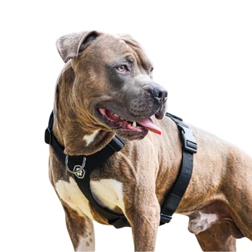Spark Paws Anti-Zieh-Y-Hundegeschirr – Entwickelt für Sicherheit und Kontrolle - Black - L von Spark Paws