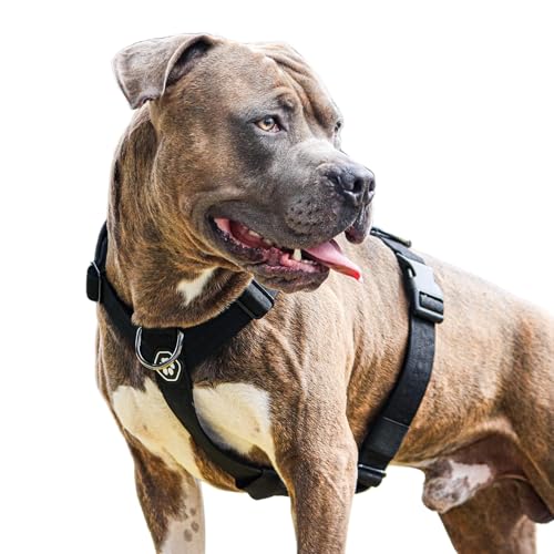 Spark Paws Großes Hundegeschirr ohne Zug, Halterdesign mit Frontclip, Robust und Strapazierfähig für Große und Starke Rassen - Black, L von Spark Paws