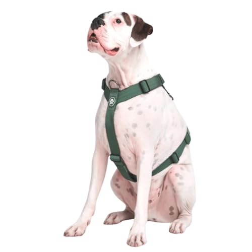 Spark Paws Anti-Zieh-Y-Hundegeschirr – Entwickelt für Sicherheit und Kontrolle - Green - L von Spark Paws