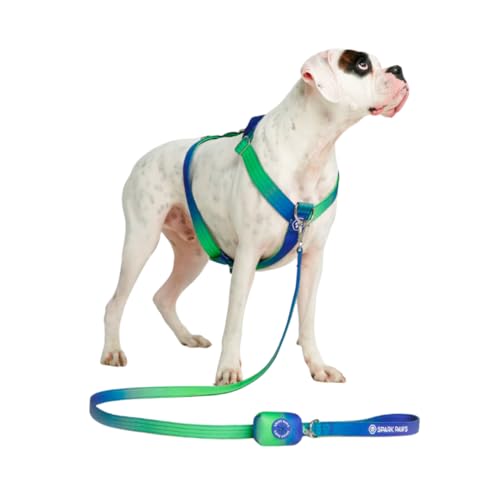 Spark Paws Anti-Zieh-Y-Hundegeschirr – Entwickelt für Sicherheit und Kontrolle - Lime Wave - L von Spark Paws