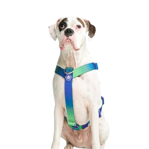 Spark Paws Anti-Zieh-Y-Hundegeschirr – Entwickelt für Sicherheit und Kontrolle - Lime Wave - S von Spark Paws