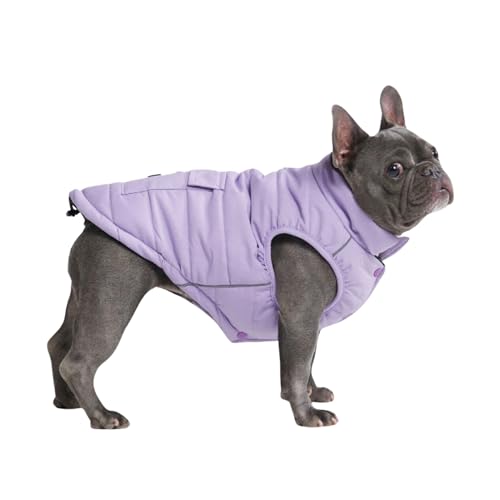 Spark Paws Warmshield™ Hundejacke Wintermantel, Warmes Fleece, Wasserabweisend, Winddicht, Reflektierende Weste, Geeignet für Mittelgroße und Große Hunde, Kälteschutz Schneejacke Parka - Lilac - XL Spark Paws Warmshield™ Hundejacke Wintermantel, Warmes Fleece, Wasserabweisend, Winddicht, Reflektierende Weste, Geeignet für Mittelgroße und Große Hunde, Kälteschutz Schneejacke Parka - Lilac - XL von Spark Paws
