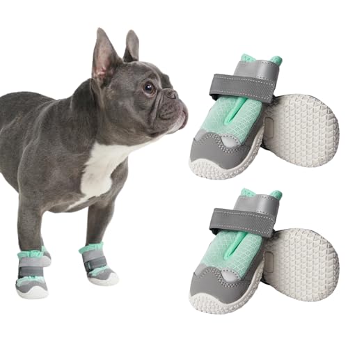 Spark Paws Hundeschuhe – rutschfest & Atmungsaktiv, Pfotenschutz im Sommer für heiße Oberflächen & Wandern, Strapazierfähig, 4er-Set - Turquoise, B Spark Paws Hundeschuhe – rutschfest & Atmungsaktiv, Pfotenschutz im Sommer für heiße Oberflächen & Wandern, Strapazierfähig, 4er-Set - Turquoise, B von Spark Paws