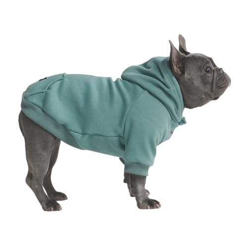 Spark Paws Hunde-Kapuzenpullover – Premium-Qualität, butterweich, hervorragender Komfort und Passform, beruhigende Fleece-Innenseite, geeignet für alle Rassen - Teal - 2XL von Spark Paws
