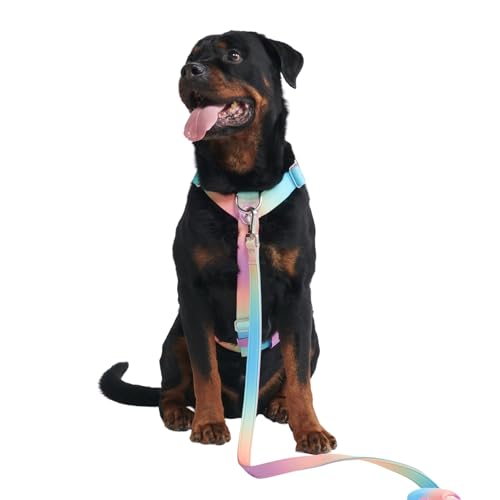 Spark Paws Großes Hundegeschirr ohne Zug, Halterdesign mit Frontclip, Robust und Strapazierfähig für Große und Starke Rassen - Pastel Icing, L Spark Paws Großes Hundegeschirr ohne Zug, Halterdesign mit Frontclip, Robust und Strapazierfähig für Große und Starke Rassen - Pastel Icing, L von Spark Paws
