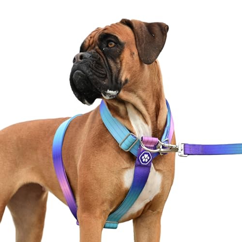Spark Paws No Pull Hundegeschirr Grosse Hunde, Halterdesign mit Frontclip, Y Geschirr Hund, Robust und Strapazierfähig Harness für Große und Starke Rassen - 90s Retro, M Spark Paws No Pull Hundegeschirr Grosse Hunde, Halterdesign mit Frontclip, Y Geschirr Hund, Robust und Strapazierfähig Harness für Große und Starke Rassen - 90s Retro, M von Spark Paws