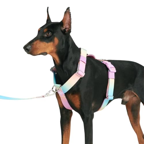 Spark Paws No Pull Hundegeschirr Grosse Hunde, Halterdesign mit Frontclip, Y Geschirr Hund, Robust und Strapazierfähig Harness für Große und Starke Rassen - Pastel Icing, S von Spark Paws