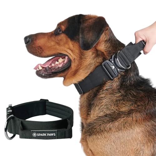 Spark Paws Taktisches Hundehalsband, strapazierfähig, Premium-Qualität, dick und langlebig, für große und mittelgroße Hunde, Schwarz, M, 3,8 cm Spark Paws Taktisches Hundehalsband, strapazierfähig, Premium-Qualität, dick und langlebig, für große und mittelgroße Hunde, Schwarz, M, 3,8 cm von Spark Paws