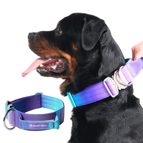 Spark Paws Taktisches Hundehalsband – Robuste, Premium-Qualität, Dick und Langlebig für Große und Mittelgroße Hunde (5cm/2in Width) - 90s Retro - L, 5cm von Spark Paws