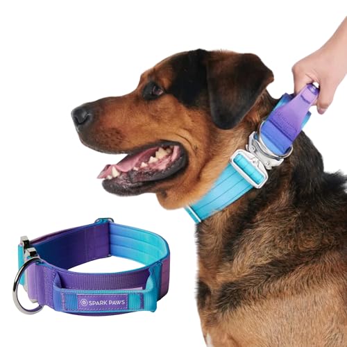 Spark Paws Taktisches Hundehalsband – Robuste, Premium-Qualität, Dick und Langlebig für Große und Mittelgroße Hunde (5cm/2in Width) - 90s Retro - M, 5cm von Spark Paws