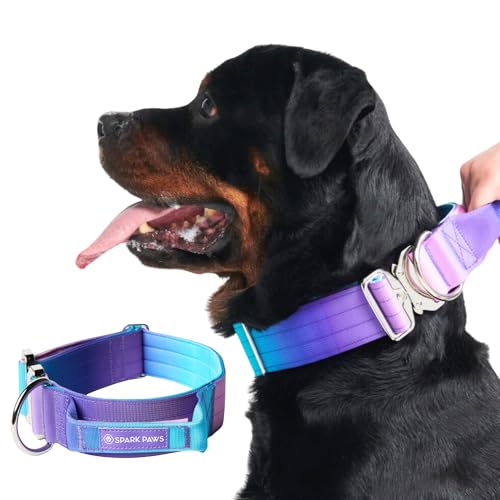 Spark Paws Taktisches Hundehalsband – Robuste, Premium-Qualität, Dick und Langlebig für Große und Mittelgroße Hunde - 90s Retro – L – 3,8 cm Spark Paws Taktisches Hundehalsband – Robuste, Premium-Qualität, Dick und Langlebig für Große und Mittelgroße Hunde - 90s Retro – L – 3,8 cm von Spark Paws
