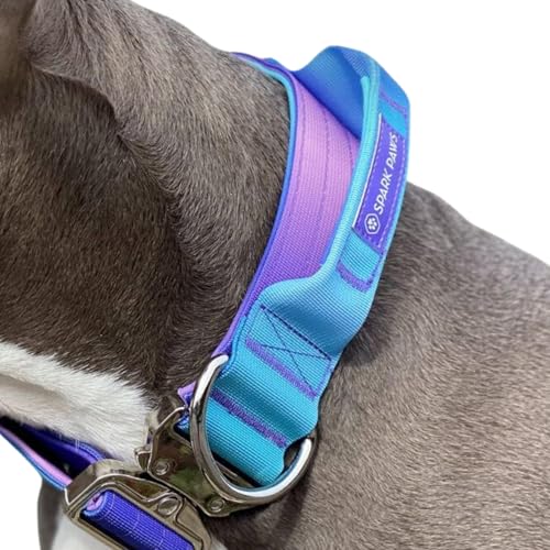 Spark Paws Taktisches Hundehalsband – Robuste, Premium-Qualität, Dick und Langlebig für Große und Mittelgroße Hunde - 90s Retro - S, 5cm Spark Paws Taktisches Hundehalsband – Robuste, Premium-Qualität, Dick und Langlebig für Große und Mittelgroße Hunde - 90s Retro - S, 5cm von Spark Paws