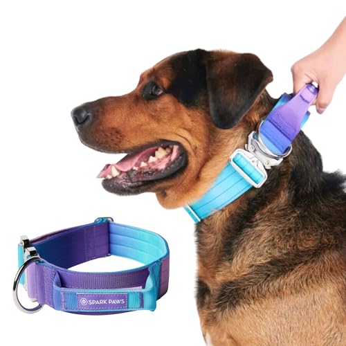 Spark Paws Taktisches Hundehalsband – Robuste, Premium-Qualität, Dick und Langlebig für Große und Mittelgroße Hunde - 90s Retro Spark Paws Taktisches Hundehalsband – Robuste, Premium-Qualität, Dick und Langlebig für Große und Mittelgroße Hunde - 90s Retro von Spark Paws