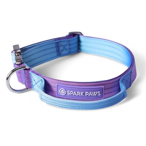 Spark Paws Taktisches Hundehalsband – Robuste, Premium-Qualität, Dick und Langlebig für Große und Mittelgroße Hunde - 90s Retro Spark Paws Taktisches Hundehalsband – Robuste, Premium-Qualität, Dick und Langlebig für Große und Mittelgroße Hunde - 90s Retro von Spark Paws