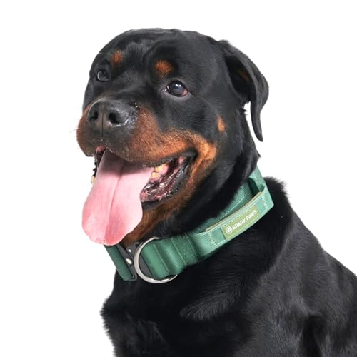 Spark Paws Taktisches Hundehalsband – Robuste, Premium-Qualität, Dick und Langlebig für Große und Mittelgroße Hunde - Army Green Spark Paws Taktisches Hundehalsband – Robuste, Premium-Qualität, Dick und Langlebig für Große und Mittelgroße Hunde - Army Green von Spark Paws
