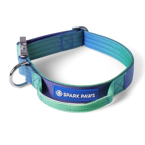 Spark Paws Taktisches Hundehalsband – Robuste, Premium-Qualität, Dick und Langlebig für Große und Mittelgroße Hunde - Lime Wave Spark Paws Taktisches Hundehalsband – Robuste, Premium-Qualität, Dick und Langlebig für Große und Mittelgroße Hunde - Lime Wave von Spark Paws