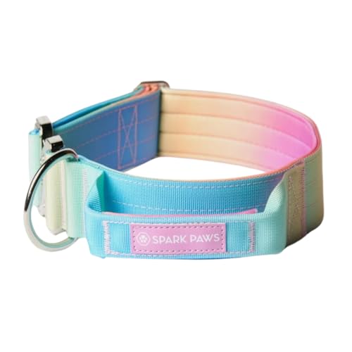 Spark Paws Taktisches Hundehalsband – Robuste, Premium-Qualität, Dick und Langlebig für Große und Mittelgroße Hunde Spark Paws Taktisches Hundehalsband – Robuste, Premium-Qualität, Dick und Langlebig für Große und Mittelgroße Hunde von Spark Paws