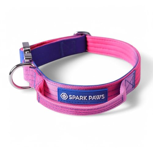 Spark Paws Taktisches Hundehalsband – Robuste, Premium-Qualität, Dick und Langlebig für Große und Mittelgroße Hunde Spark Paws Taktisches Hundehalsband – Robuste, Premium-Qualität, Dick und Langlebig für Große und Mittelgroße Hunde von Spark Paws