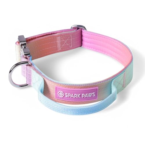 Spark Paws Taktisches Hundehalsband – Robuste, Premium-Qualität, Dick und Langlebig für Große und Mittelgroße Hunde Spark Paws Taktisches Hundehalsband – Robuste, Premium-Qualität, Dick und Langlebig für Große und Mittelgroße Hunde von Spark Paws