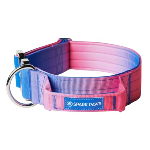 Spark Paws Taktisches Hundehalsband – Robuste, Premium-Qualität, Dick und Langlebig für Große und Mittelgroße Hunde Spark Paws Taktisches Hundehalsband – Robuste, Premium-Qualität, Dick und Langlebig für Große und Mittelgroße Hunde von Spark Paws