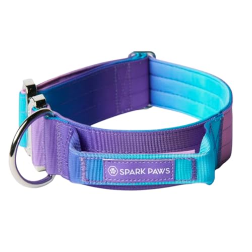 Spark Paws Taktisches Hundehalsband mit Griff - Premium Qualität, Robustes Design für große Hunderassen - Pitbulls, Labradore, GSD - 90s Retro - L von Spark Paws