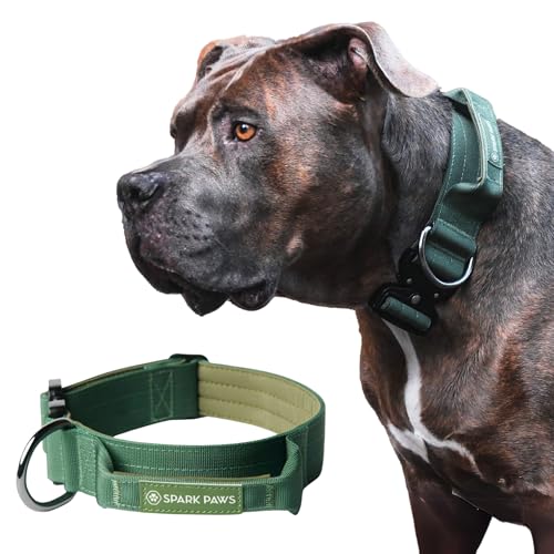 Spark Paws Taktisches Hundehalsband mit Griff - Premium Qualität, Robustes Design für große Hunderassen - Pitbulls, Labradore, GSD - Army Green - M von Spark Paws