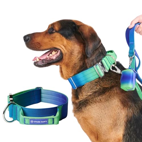 Spark Paws Taktisches Hundehalsband mit Griff - Premium Qualität, Robustes Design für große Hunderassen - Pitbulls, Labradore, GSD - Lime Wave - M von Spark Paws